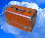 Hairdressing case