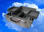 Beauty case
