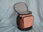 Cooler bag