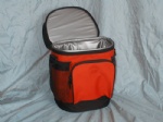 Cooler bag