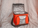 Cooler bag