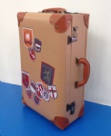 PVC Trolley case