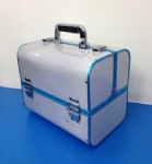 Hairdressing case