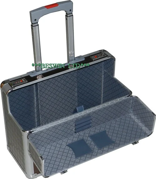 Pilot case — view 2
